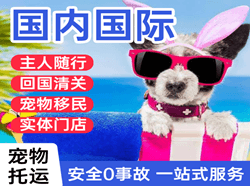 泸州云龙空运代理国际宠物托运 【国